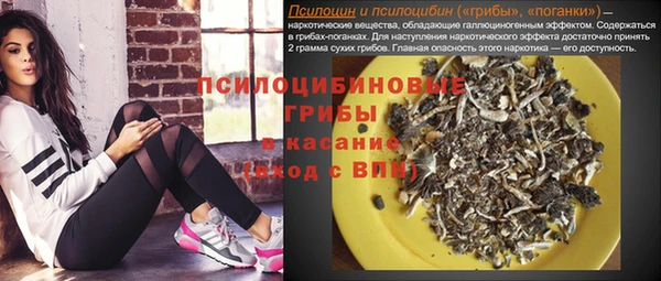 ECSTASY Армянск
